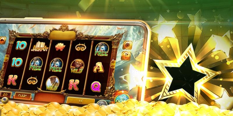Thông tin cơ bản về Ngưu ngưu 79Sodo